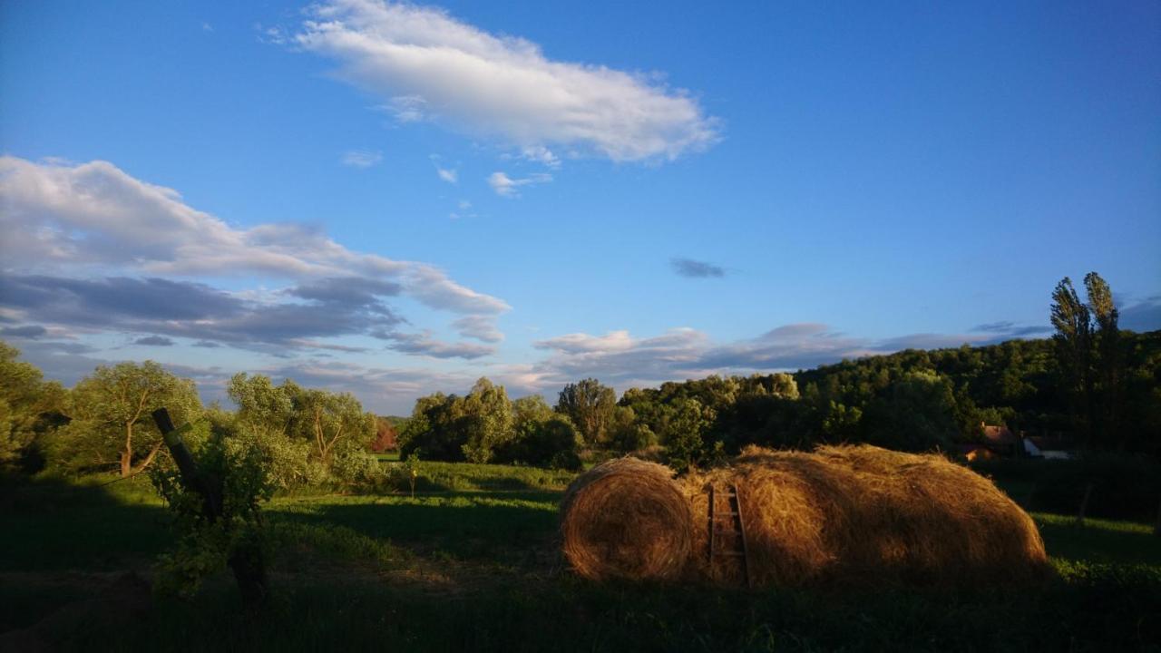 Szellosreti Vendeglak Balvanyos Экстерьер фото